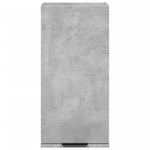 Vegghengt Baderomsskap Betonggrå 32X20X67 Cm